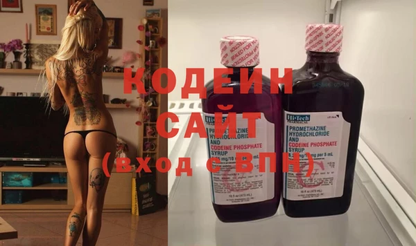 индика Балабаново