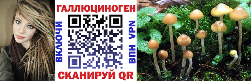 Галлюциногенные грибы MAGIC MUSHROOMS  магазин продажи   Оса 